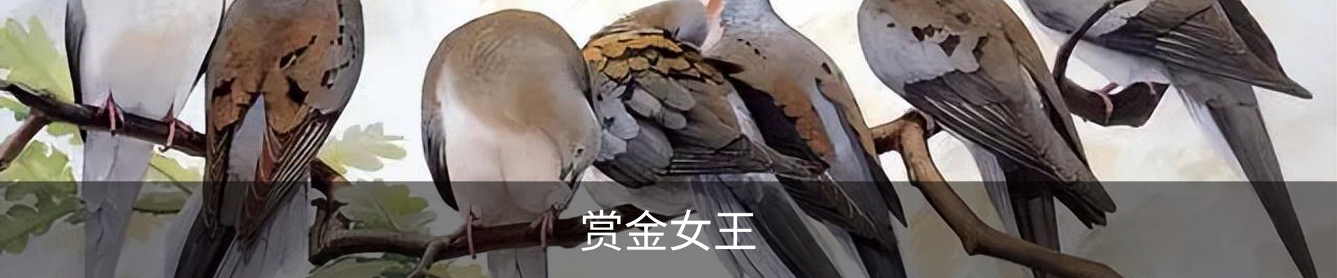 赏金女王(中国)官方网站 - Queen of Bounty